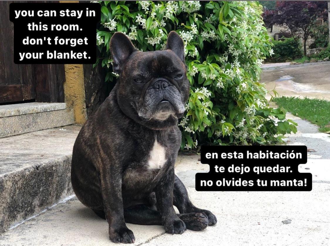 Hotel Rural Casal Do Mouro Ambroa 外观 照片